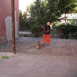Fasi finali di lavori rifacimento pavimentazione